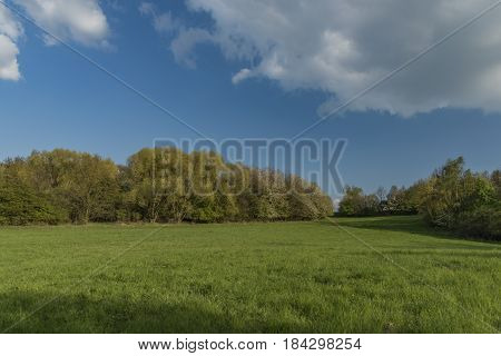 Green blue sky day in Ceske Stredohori mountains in spring time