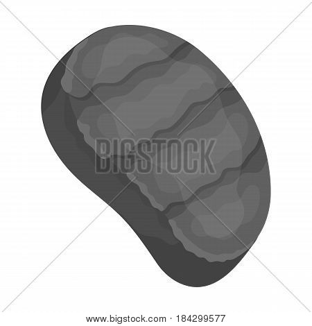 Fried steak.BBQ single icon in monochrome style vector symbol stock illustration .