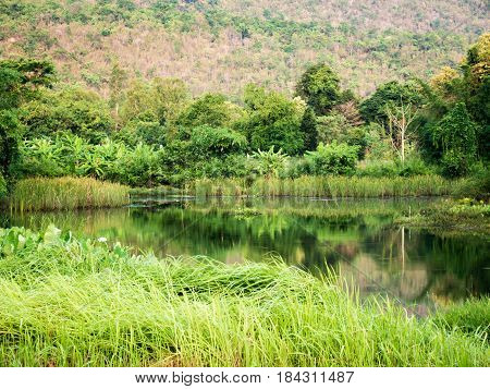 Tranquil scenceView of lake with green tree and mountian behindThailand