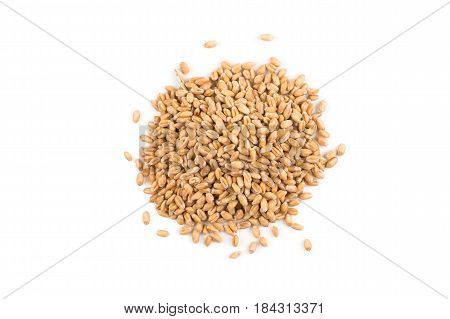 Wheat Grain On White