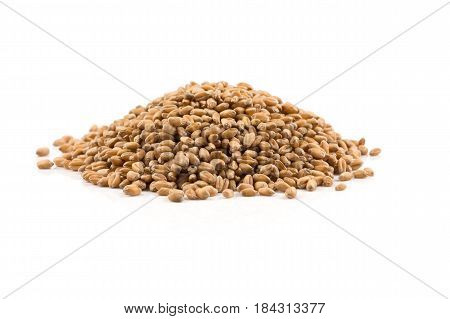 Wheat Grain On White