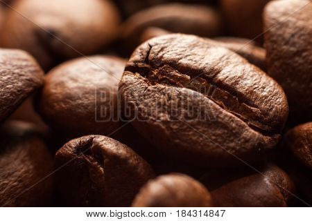Brown roasted coffee beans in dark close-up macro photo natural food background selective focue shallow depth of field.