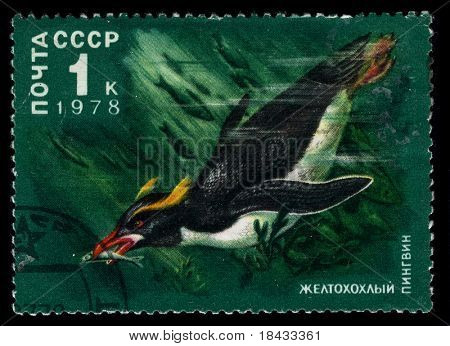 USSR - CIRCA 1978: Et frimærke, trykt i USSR viser svovl crested pingvin fugl circa 1978.