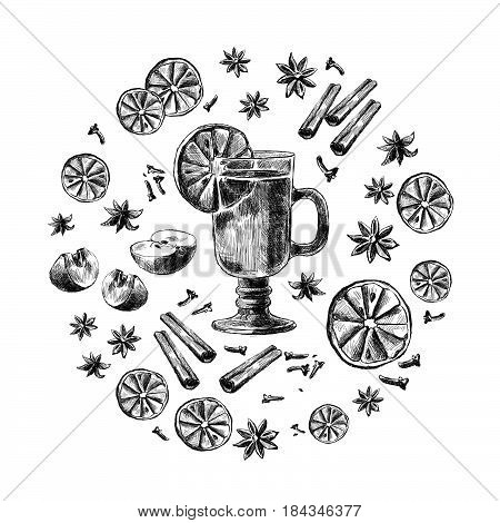 Mulled wine Wine and spices, orange, apple, cinnamon, carnation, anisetree. Hand drawn vector Illustration.