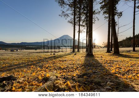 Mount Fuji Fujisan sunrise at Fumoto Japan