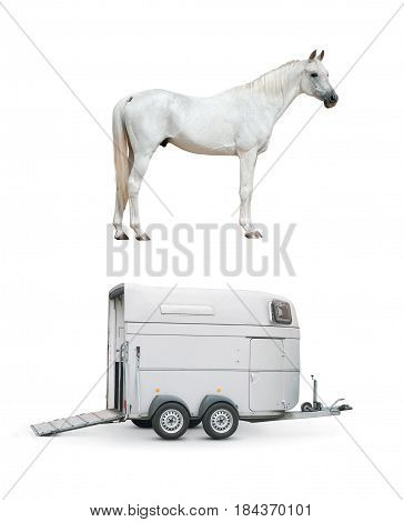 horse and horse trailer isolated over a white