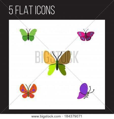 Flat Monarch Set Of Beauty Fly, Milkweed, Moth And Other Vector Objects. Also Includes Moth, Archippus, Monarch Elements.