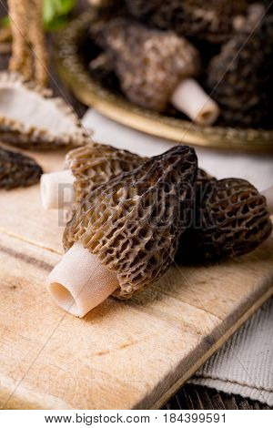 Fresh Morchella Conica, Seasonal Mushrooms