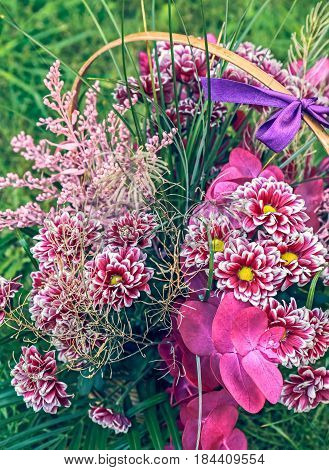 FFlower arrangement in the garden, closeup view