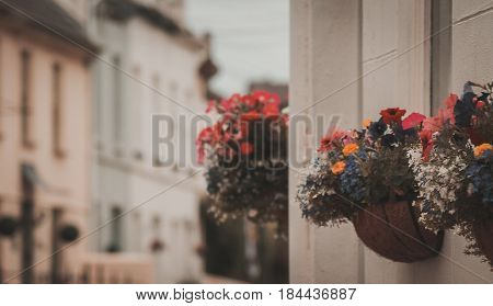 baskets with flowers outside a row of terrace houses in Minehead Somerset England