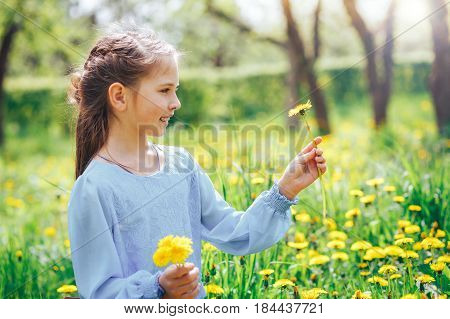 beautiful blond girl with blue eyes gathers dandelions on the meadow