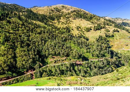 Road winds through forested hills in highlands of Huehuetenango, Guatemala, Central America
