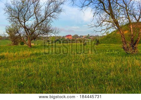 Meadow with wild herbs and green trees, and between them are visible in front of the farmhouse. The sky is light blue with white clouds.