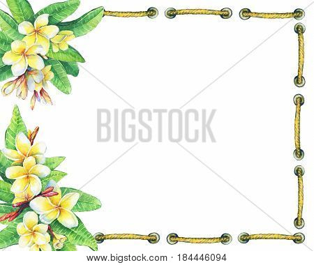Square frame with tropical resort flowers frangipani (plumeria). Hand drawn watercolor painting on white background.