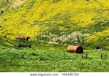 Forgotten abandoned ranchland taken on lush green grasslands with wildflowers taken in the Carrizo Plain, CA