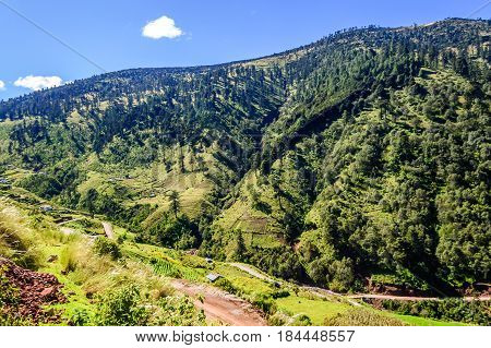Road winds through forested hills in highlands of Huehuetenango, Guatemala, Central America