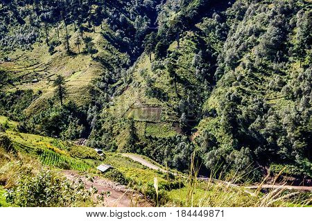 Road winds through forested hills in highlands of Huehuetenango, Guatemala, Central America