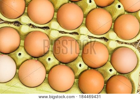 Freerange fresh raw eggs in recycled paper egg cartons or on the straw.