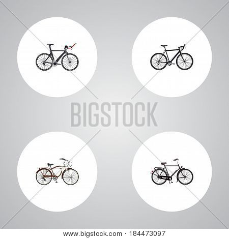 Realistic Competition Bicycle, Journey Bike, Cyclocross Drive And Other Vector Elements. Set Of Bike Realistic Symbols Also Includes Dutch, Cruise, Bicycle Objects.
