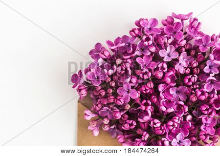 close up of opened craft paper envelope filled with spring blossom purple lilac flowers laying on white background. top view. concept of love and proposal. Flat lay. happy valentines day. mothers day.