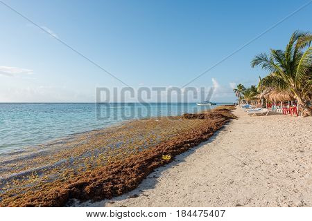 The beach in Mahahual, Quintana Roo, Mexico