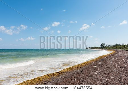 The beach in Mahahual, Quintana Roo, Mexico