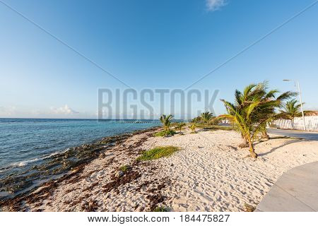 The beach in Mahahual, Quintana Roo, Mexico