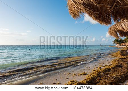 The beach in Mahahual, Quintana Roo, Mexico
