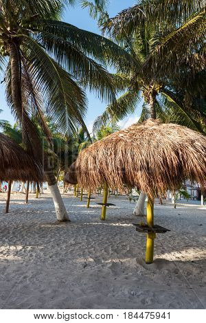 Palm trees and umbrellas on the beach in Mahahual, Mexico