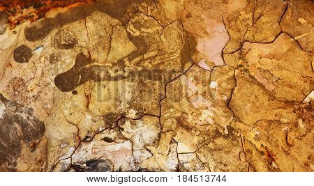 Cracked Texture Close Up