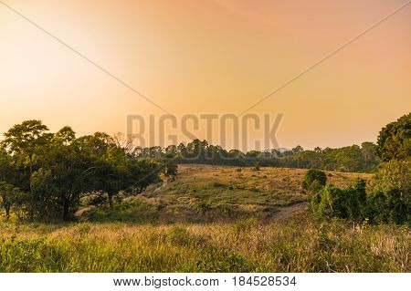 Sunset over tropical savannah landscape orange yellow lighting