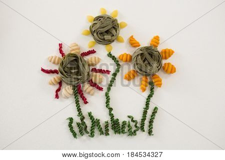 Varieties of pasta forming flower on white background