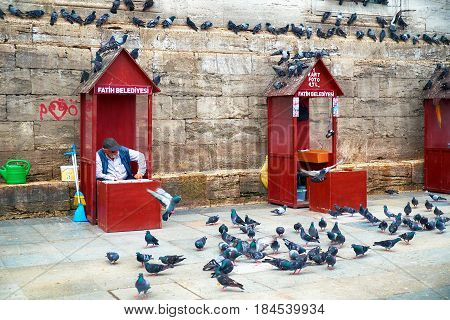 The Old Man Sells Wheat Grain To Feed The Pigeons Near New Mosque. Istanbul