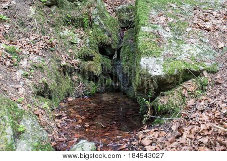 a source or fontain for water in the forest next to schwandorf in bavaria strem Goegglbach G