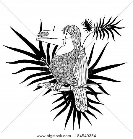 Vector illustration. Graphic arts. Toucan. Tropical toucan bird on a background of tropical leaves. Black and white.