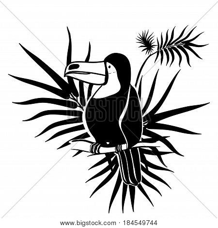 Vector illustration. Graphic arts. Toucan. Tropical toucan bird on a background of tropical leaves. Black and white.