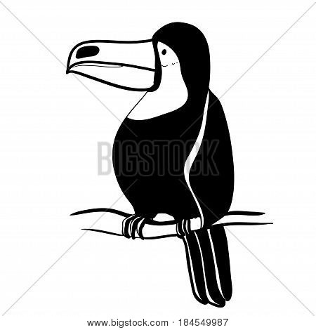 Vector illustration. Graphic arts. Toucan. Tropical toucan bird. Black and white.