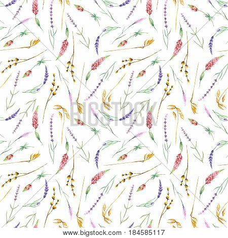 Seamless pattern with yellow dry wildflowers, lupine and lavender flowers, hand drawn in watercolor on a white background