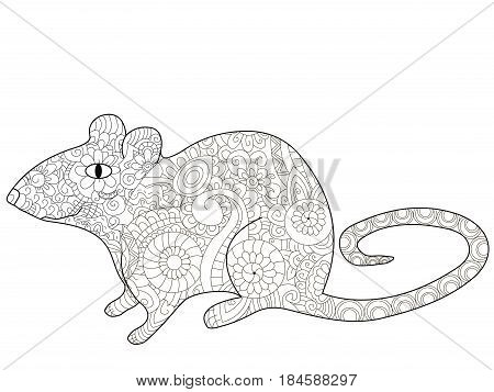 rat animal coloring book for adults vector illustration. Anti-stress coloring for adult rodent. Zentangle style. Black and white lines. Lace pattern