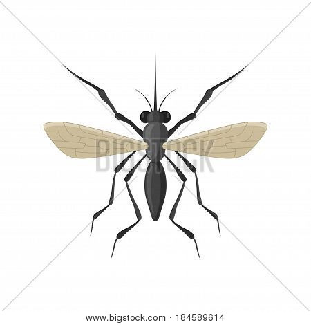 Mosquito icon isolated on white background. A stinging, biting, annoying insect. Cartoon black mosquito insect view from above.