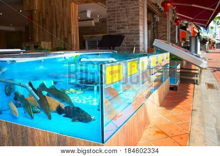 Lots of live fish in aquarium at seafood restaurant in Singapore