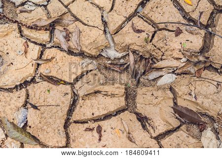 Dry Cracked Earth. The Desert. Background. It's Hot, The Global Shortage Of Water On The Planet