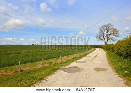 Limestone Farm Track
