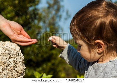 Mother and toddler enjoying the spring day out in the open and playing with small rocks.