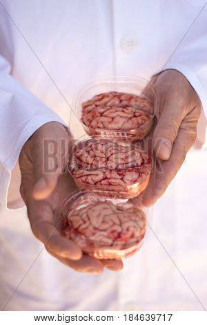 Hands holding a plastic punnet of three brains