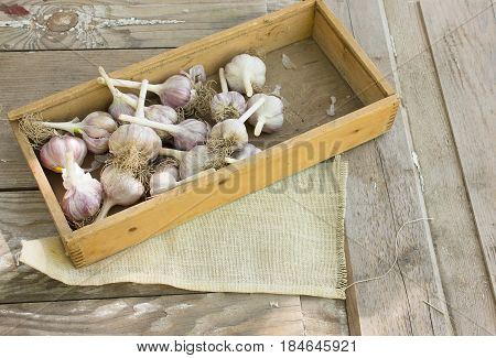 garlic bulbs and garlic cloves in box on wodeen background.