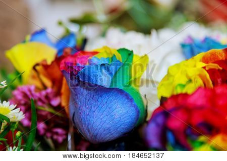 Bouquet Ofcolorful Rainbow Rose