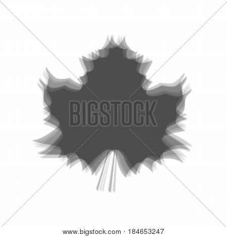 Maple leaf sign. Vector. Gray icon shaked at white background.