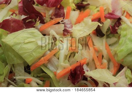 Fresh green mixed salad with sliced carots