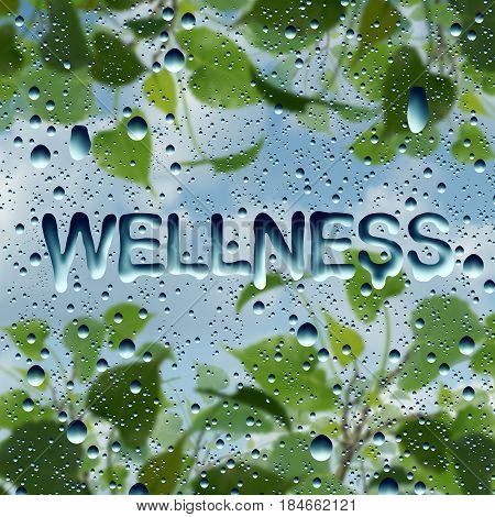 Wellness health symbol and natural healthy lifestyle symbol as water drops on a window with text and a plant with sky as a harmony and relaxation metaphor in a 3D illustration style.